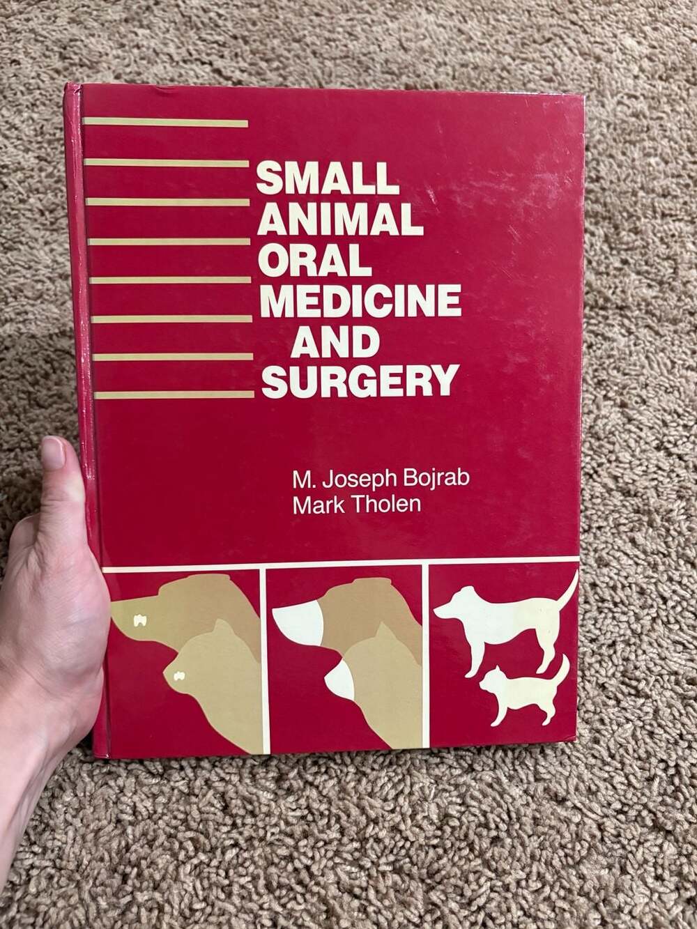 Small Animal Oral Medicine Surgery Bojrab Tholen Vet Book